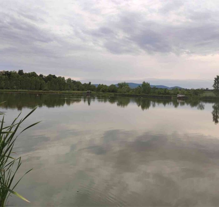 Ribnjak Peca pored Markovačkog jezera, Mladenovac