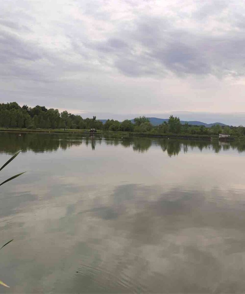 Ribnjak Peca pored Markovačkog jezera, Mladenovac
