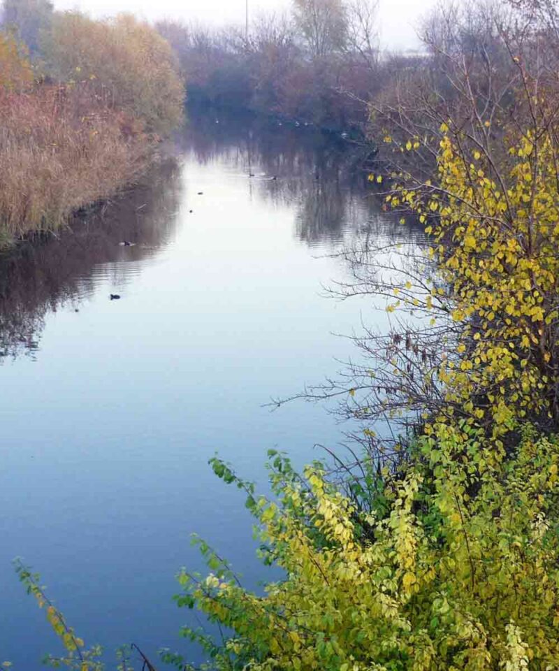 Pecanje - kanal Galovica