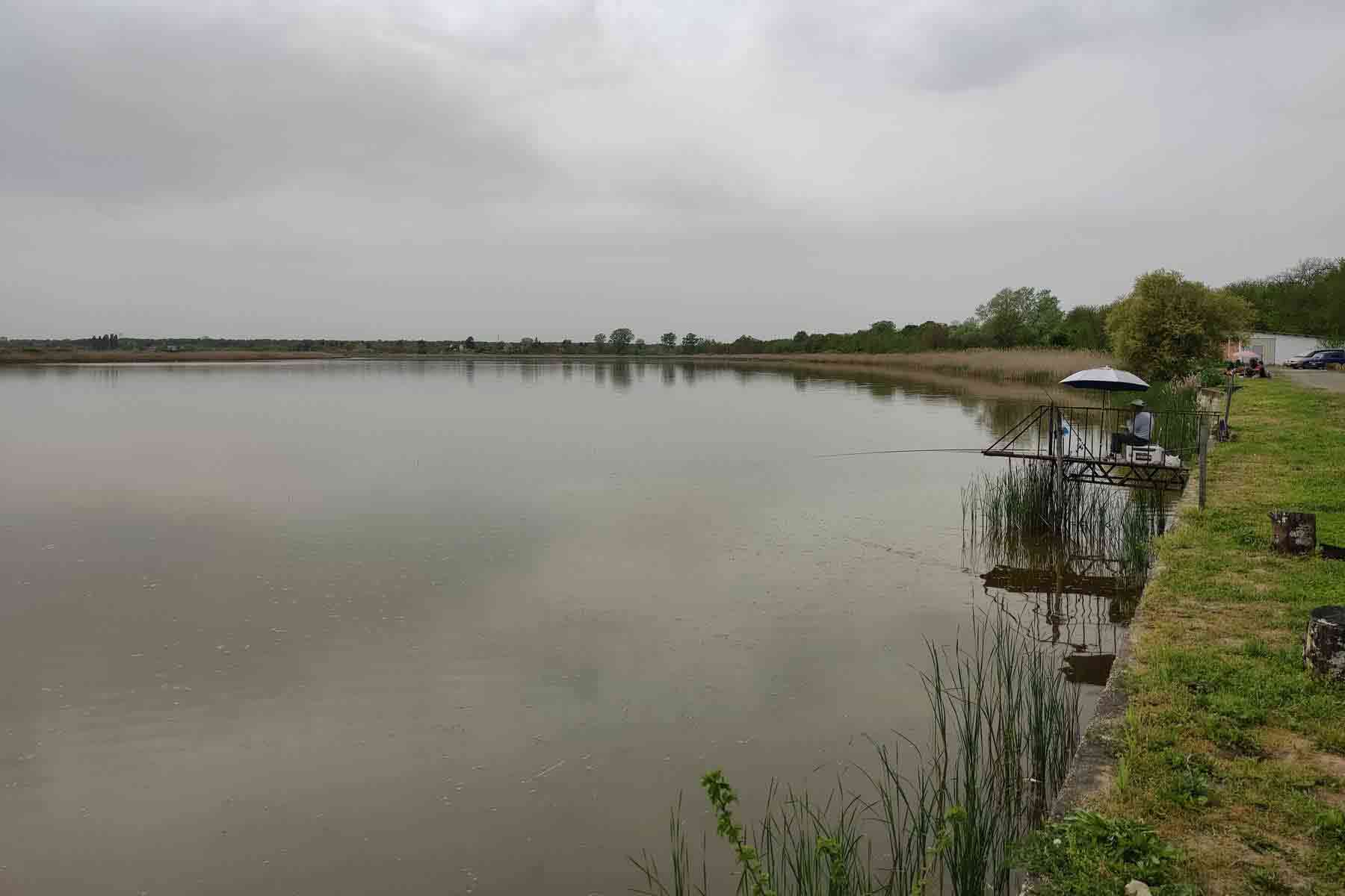 Ribnjak Živača kod Surčina, široka površina jezera i pecaroš na platformi sa suncobranom