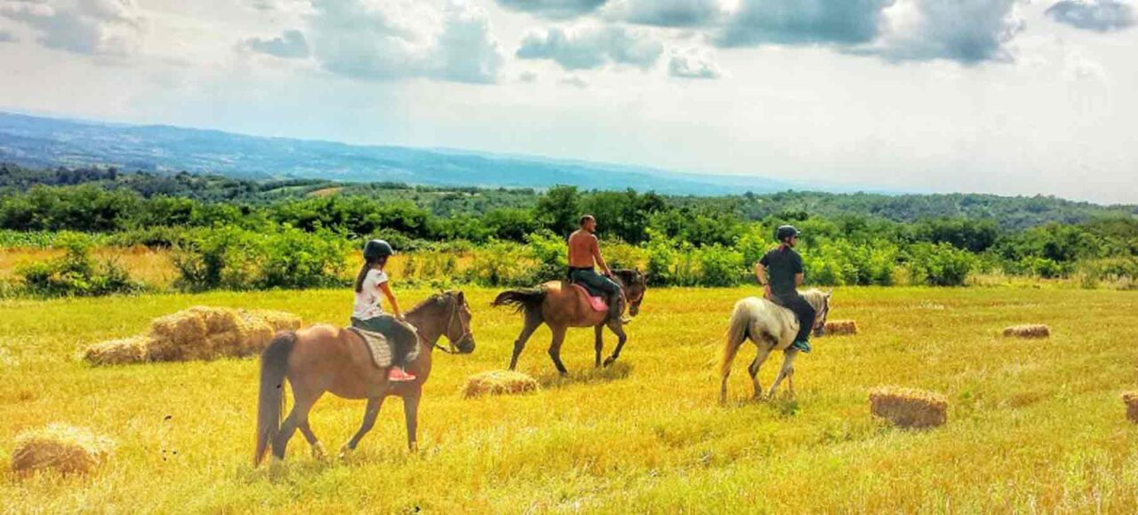Jahanje konja na Kosmaju kroz prirodu i šumske staze