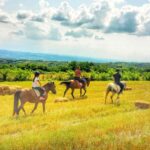 Jahanje konja na Kosmaju kroz prirodu i šumske staze