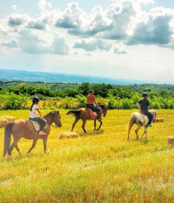 Jahanje konja na Kosmaju kroz prirodu i šumske staze