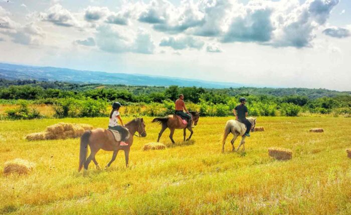 Jahanje konja na Kosmaju kroz prirodu i šumske staze