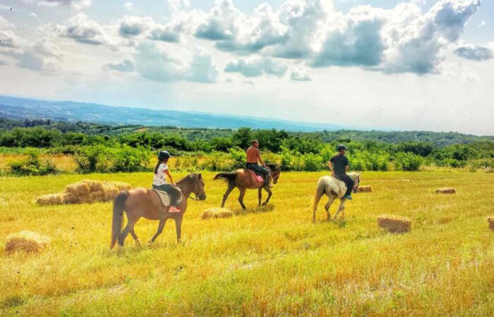Jahanje konja na Kosmaju kroz prirodu i šumske staze