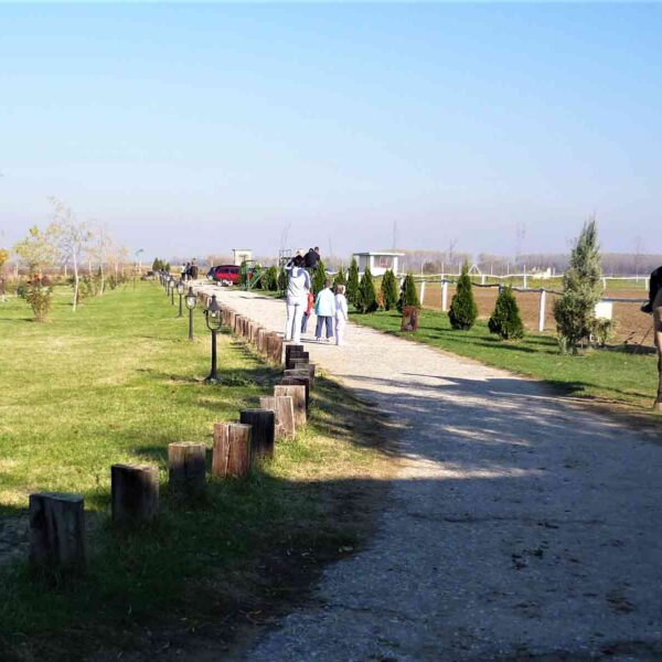 Salaš Stremen je pravo mesto za zabavu i odmor u okolini Beograda