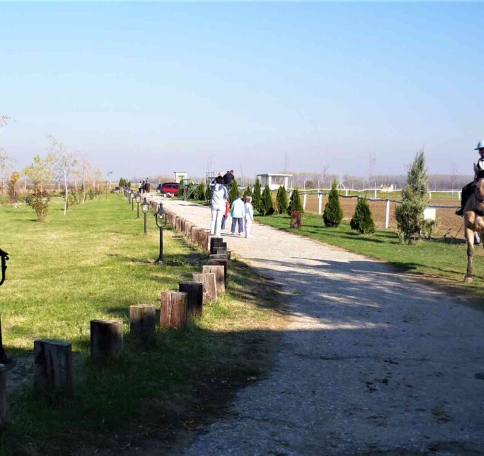 Salaš Stremen je pravo mesto za zabavu i odmor u okolini Beograda