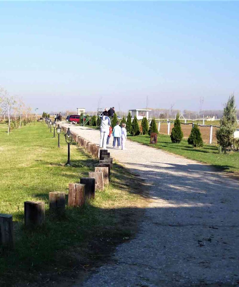 Salaš Stremen je pravo mesto za zabavu i odmor u okolini Beograda