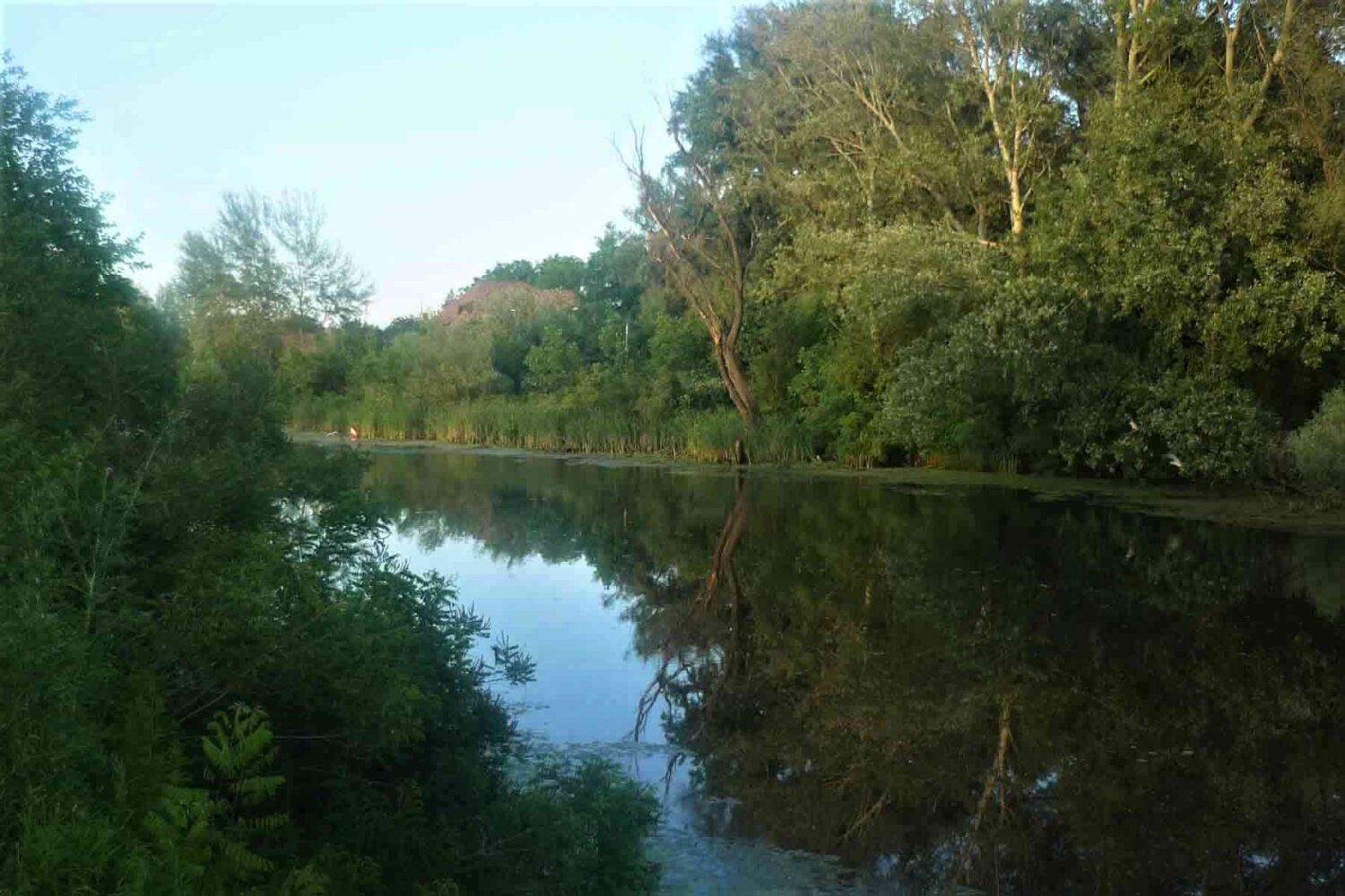 Kanal Sibnica - prelepa priroda Beograda