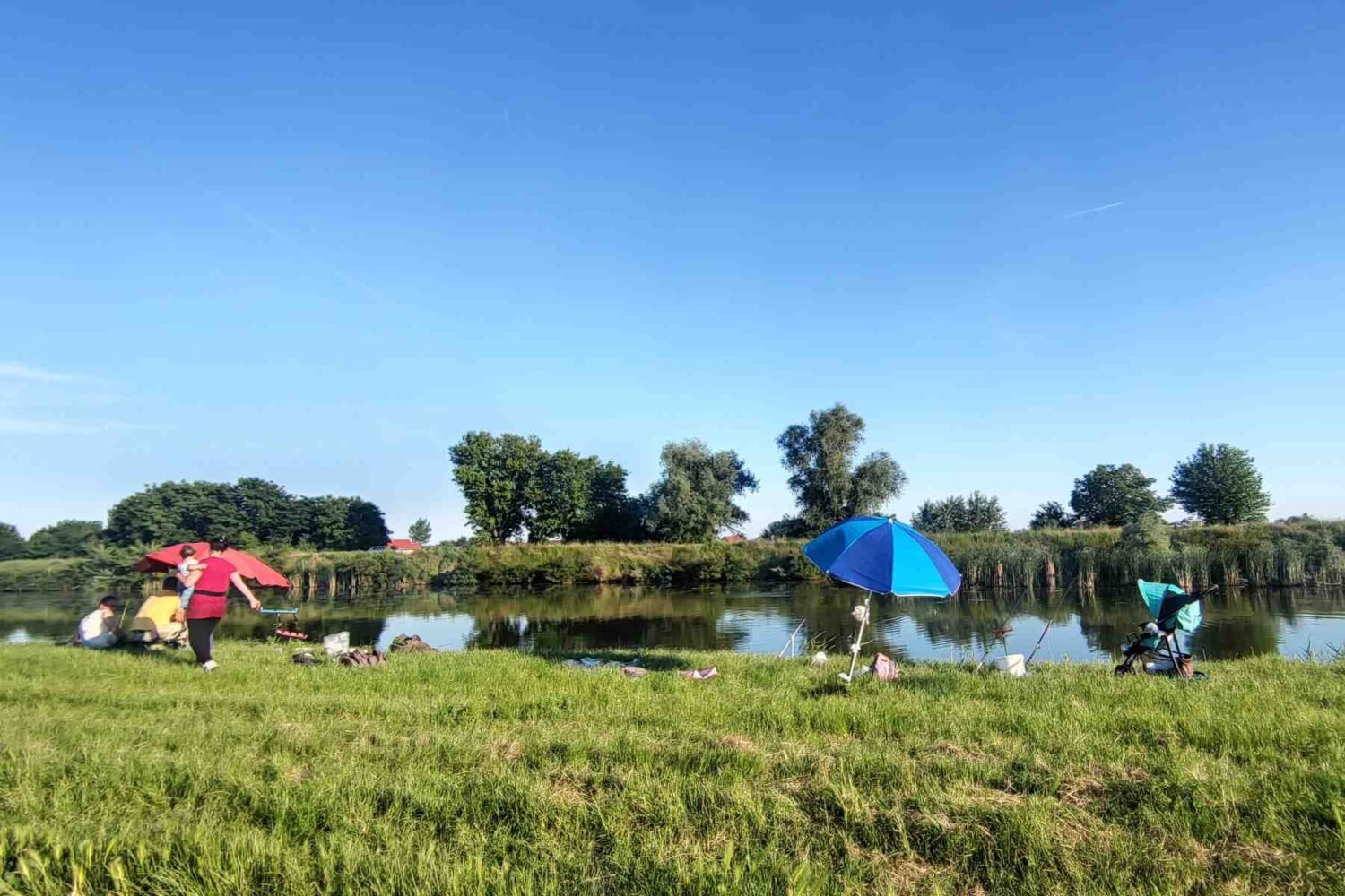 Priroda oko kanala Vizelj u Beogradu