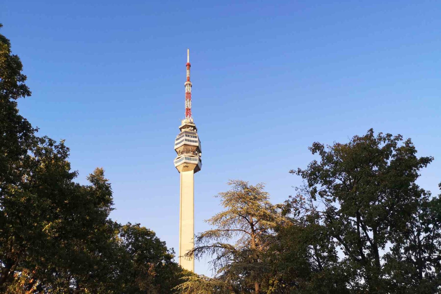 Visoki Avalski toranj se uzdiže iznad listopadnih stabala, fotografisan sa platoa ispod tornja na planini Avali.