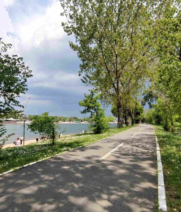 Biciklistička staza na Adi Ciganliji, okružena zelenilom, pored jezera sa bistrom vodom.