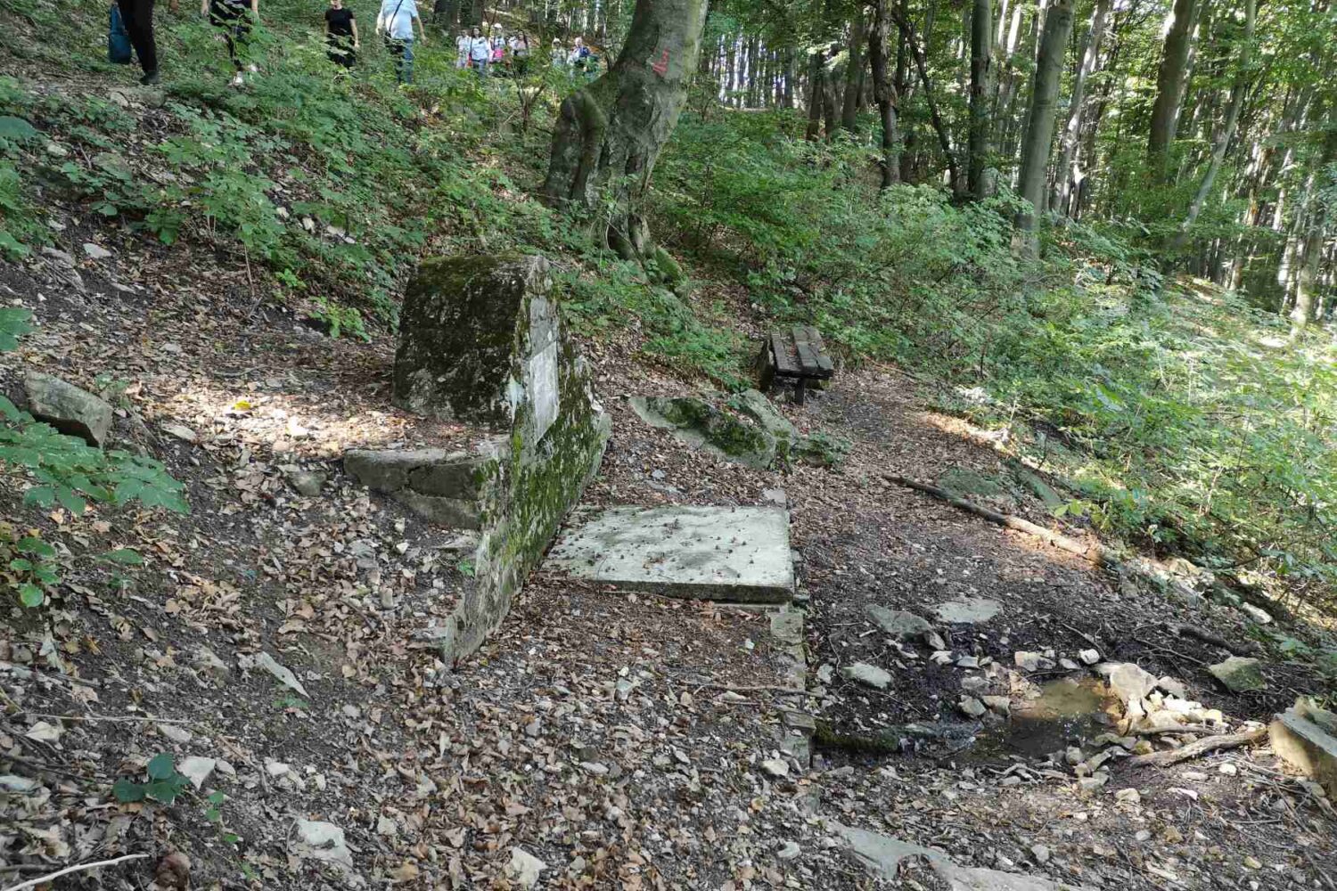 Izvor sa planinskom vodom na Kosmaju