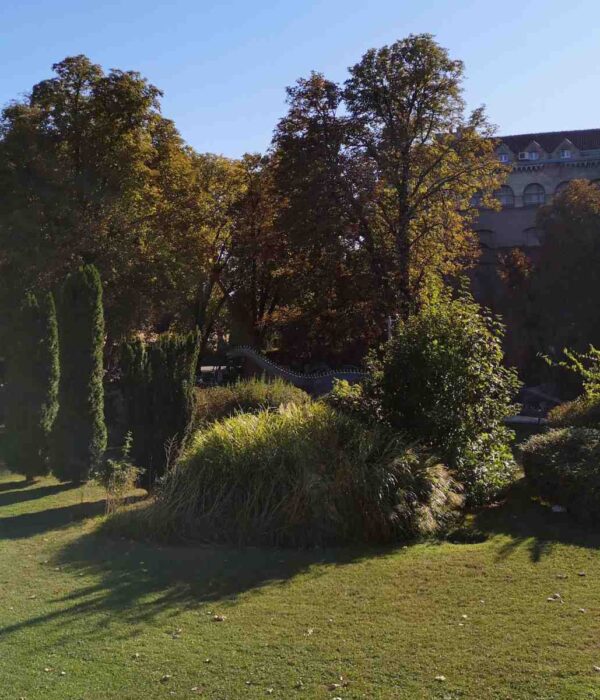 Panoramski pogled na Dino park na Kalemegdanu sa nekoliko figura dinosaurusa i stazama, sunčan dan.