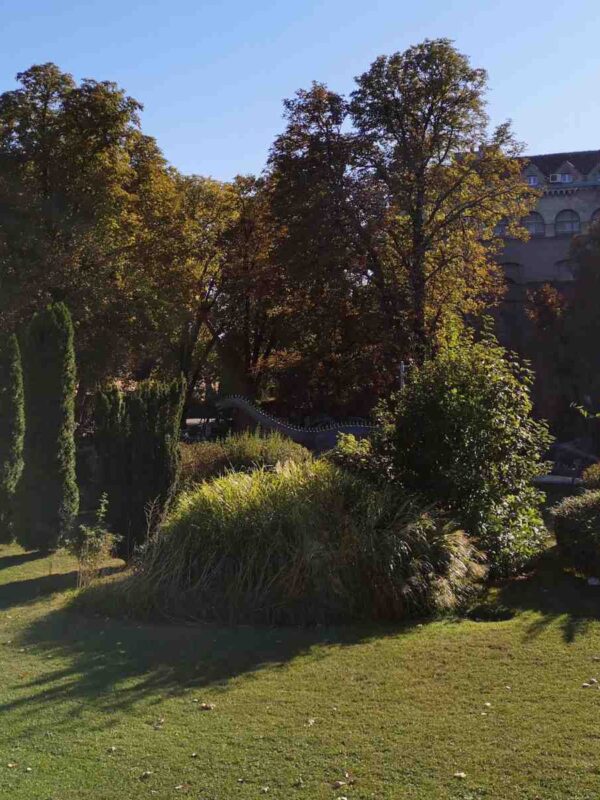 Panoramski pogled na Dino park na Kalemegdanu sa nekoliko figura dinosaurusa i stazama, sunčan dan.