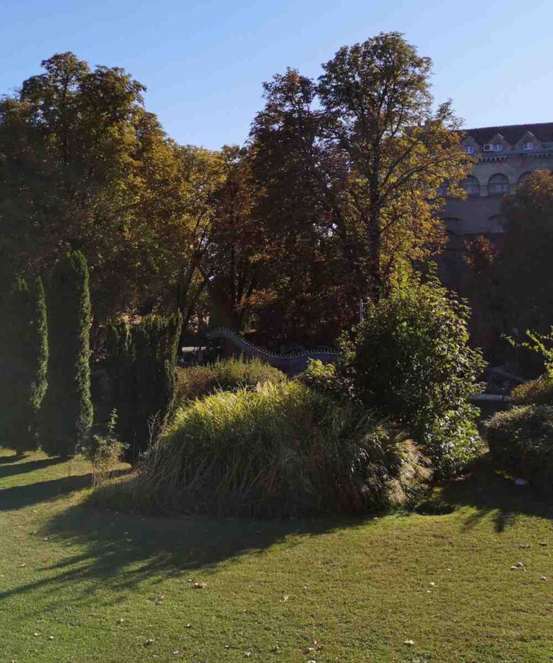 Panoramski pogled na Dino park na Kalemegdanu sa nekoliko figura dinosaurusa i stazama, sunčan dan.