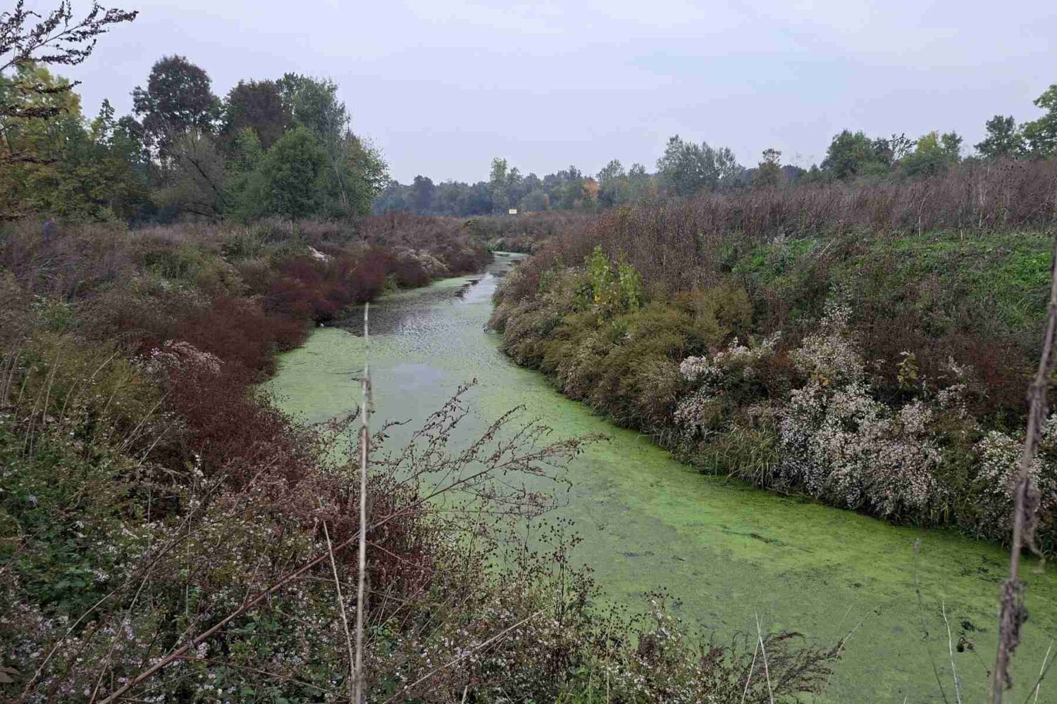 Reka Tamnava - široki kadar reke koja meandrira kroz zelenu ravnicu, prikazujući njen spor tok i okolnu prirodu.