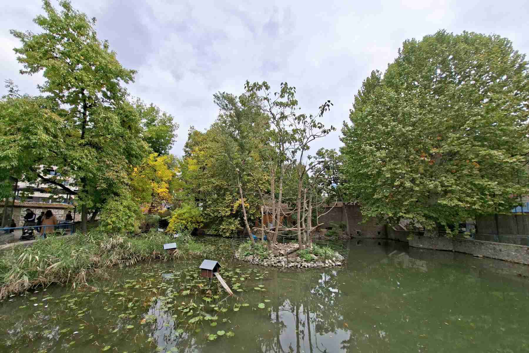 Prikaz fontane, jezerceta ili malog močvarnog staništa u donjem delu vrta, sa ribicama, vodenim kornjačama i pticama močvaricama.