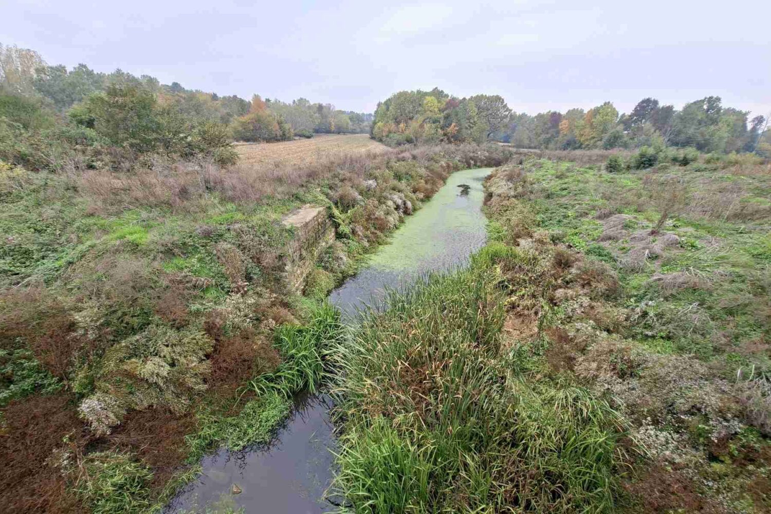 Staza ili put pored reke Tamnave, sa pogledom na reku i okolno drveće, idealno za šetnju.