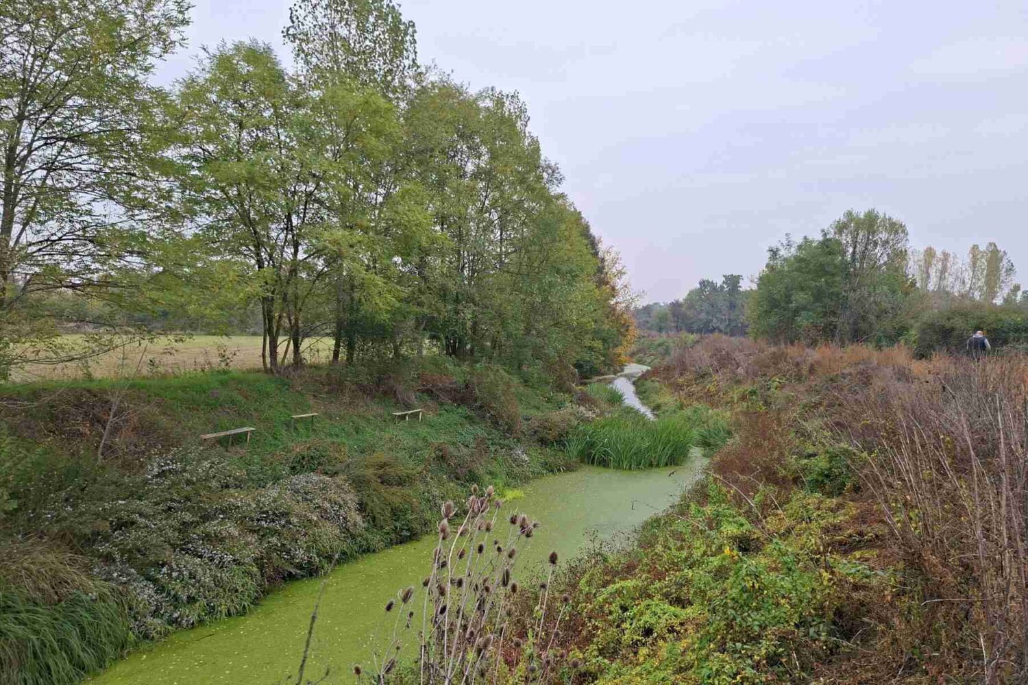 Drvene klupice za sedenje pecaroša pored mirne obale reke Tamnave, idealno za ribolov.