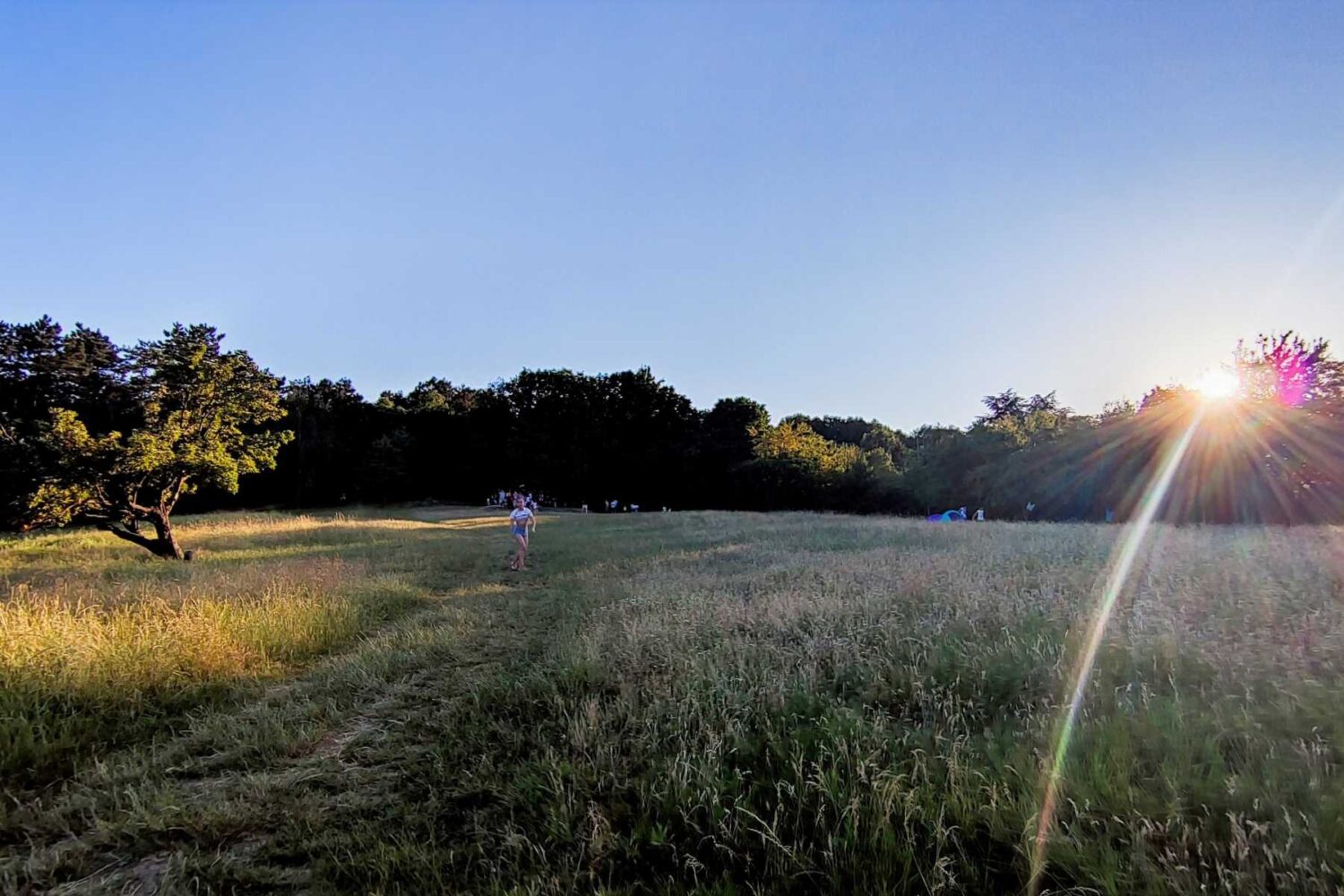 Dete koje trči po poljani u Stepinom lugu tokom porodičnog izleta