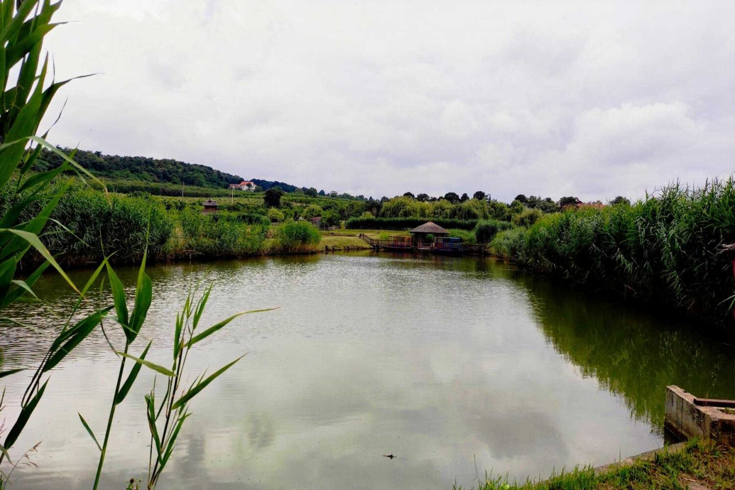 Mirno jezerce okruženo zelenilom u Malom Dunavu