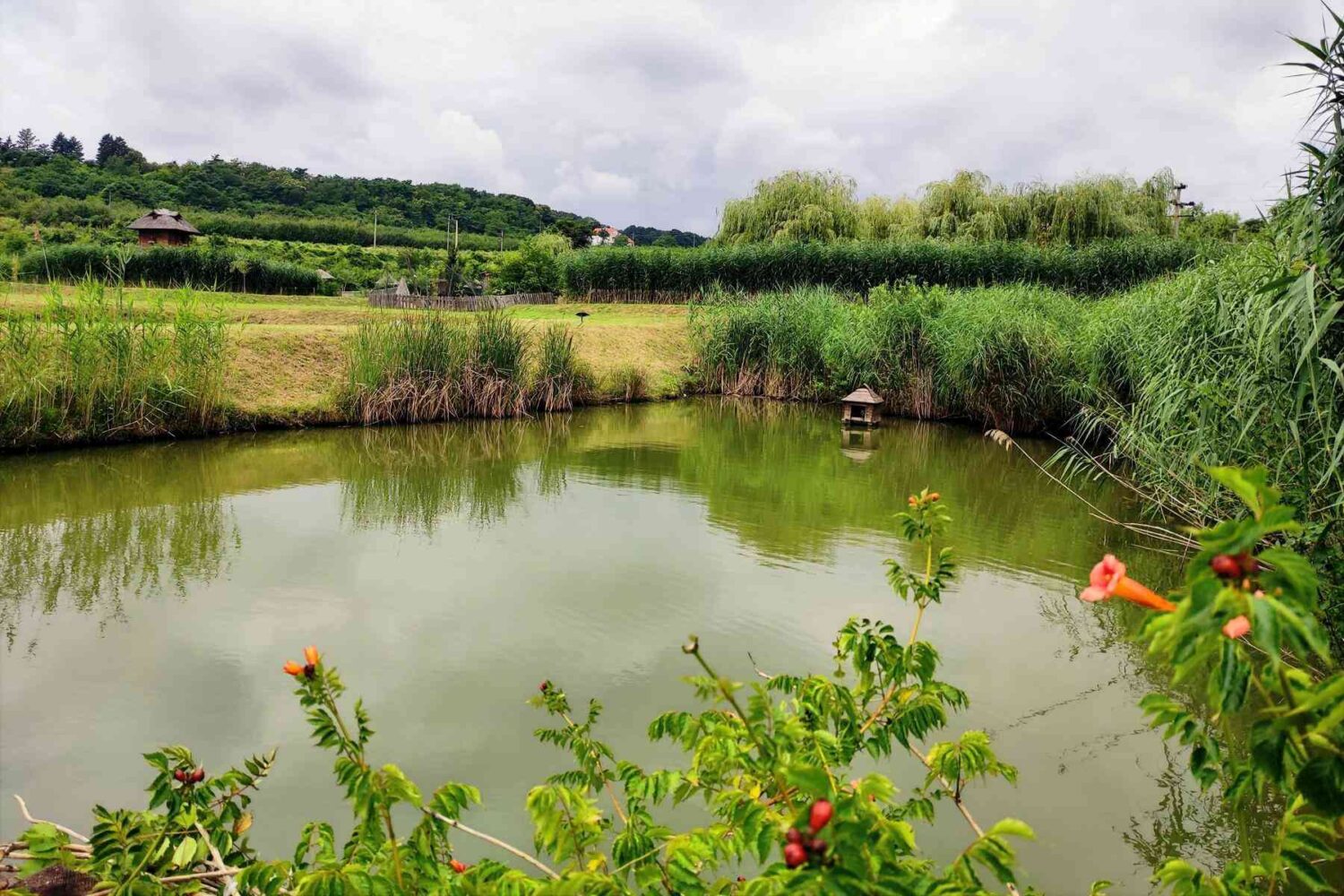 Jezero na Malom Dunavu tokom kasnog proleća sa cvećem i zelenilom