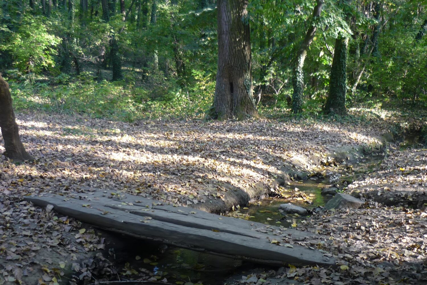 Potok sa drvenim mostićem iz drugačijeg ugla