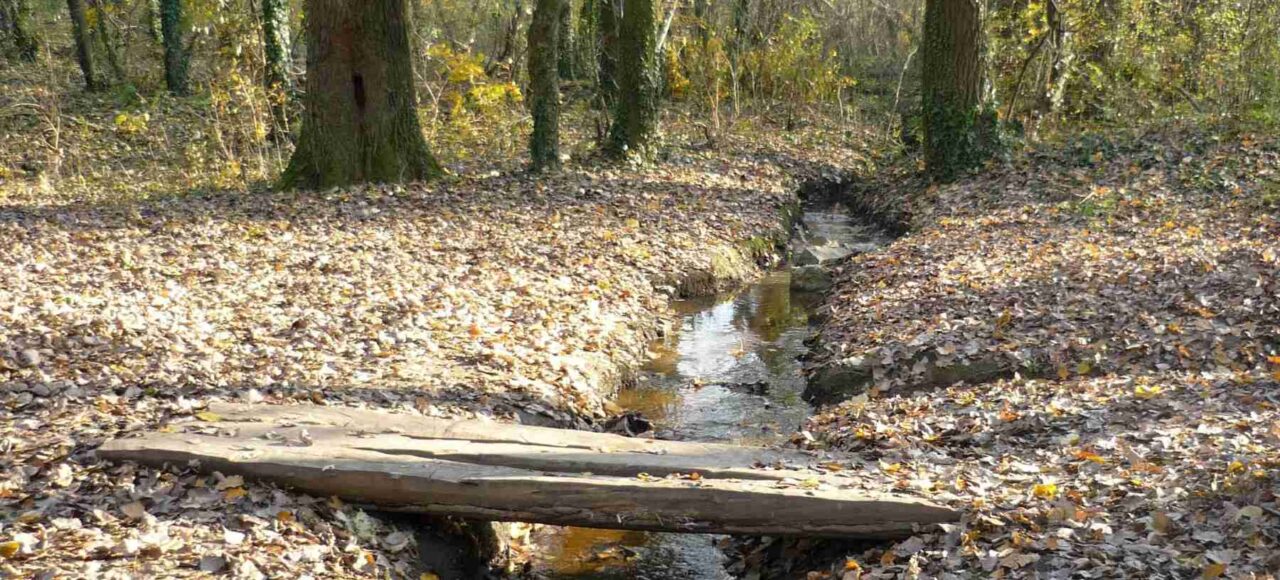 Potok sa drvenim deblo mostićem