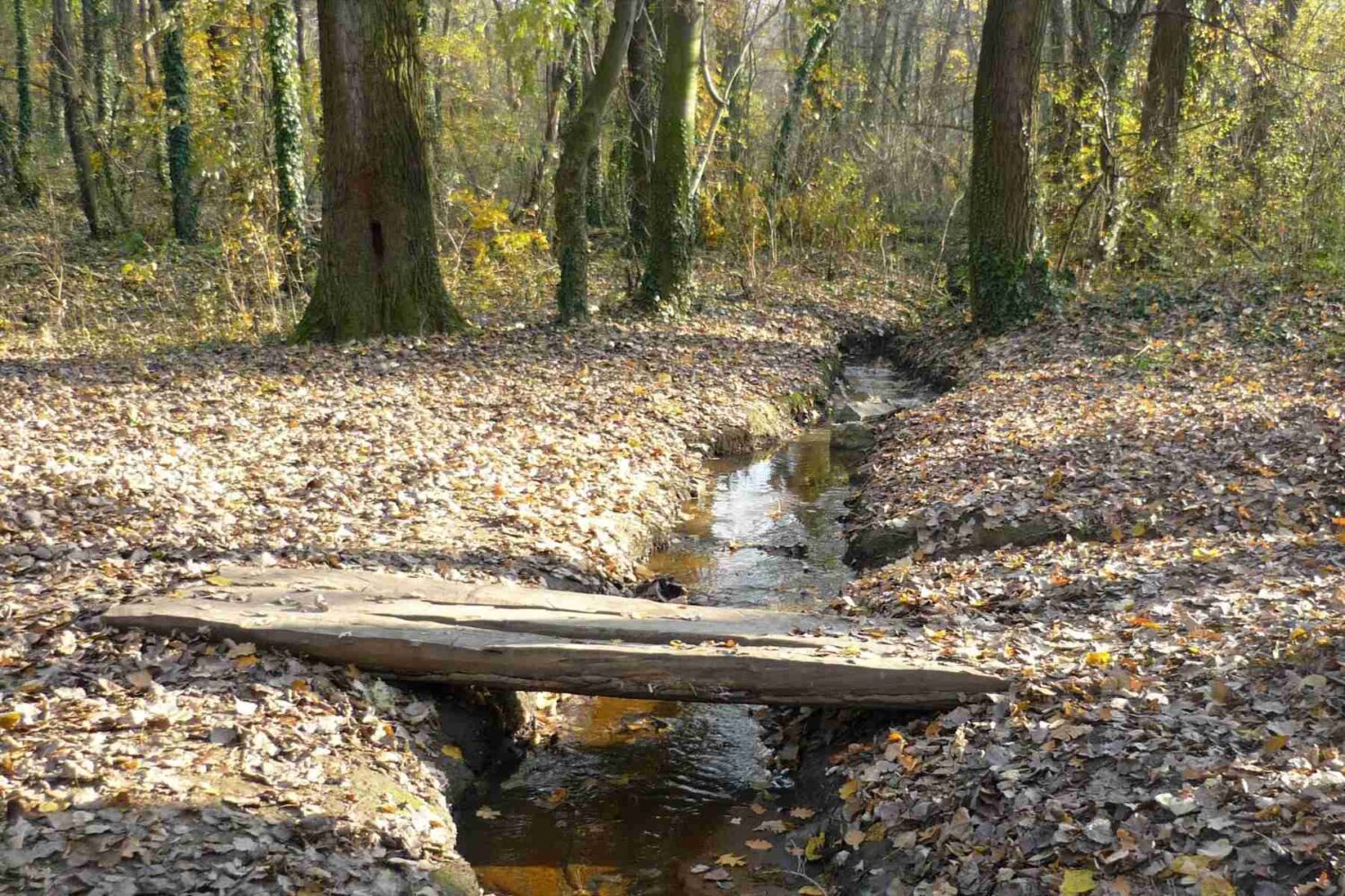 Potok sa drvenim deblo mostićem