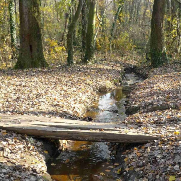 Potok sa drvenim deblo mostićem