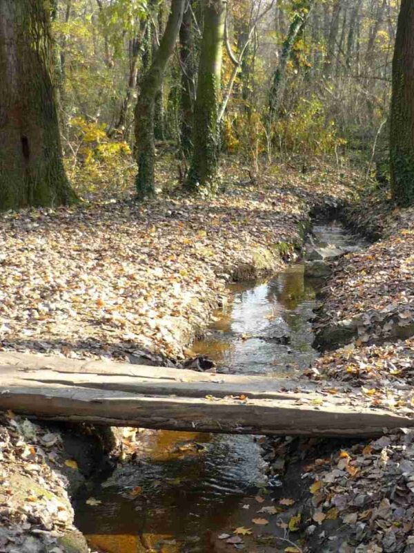 Potok sa drvenim deblo mostićem