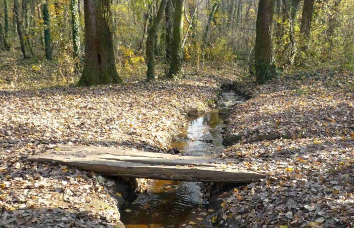Potok sa drvenim deblo mostićem