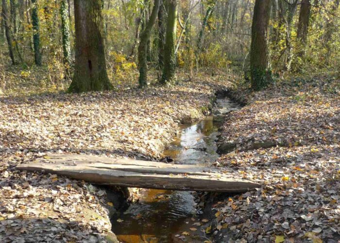 Potok sa drvenim deblo mostićem