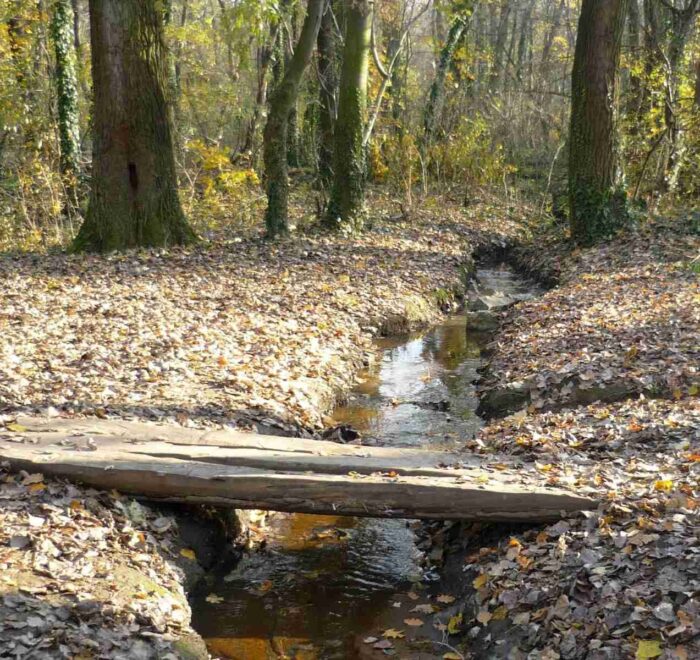 Potok sa drvenim deblo mostićem