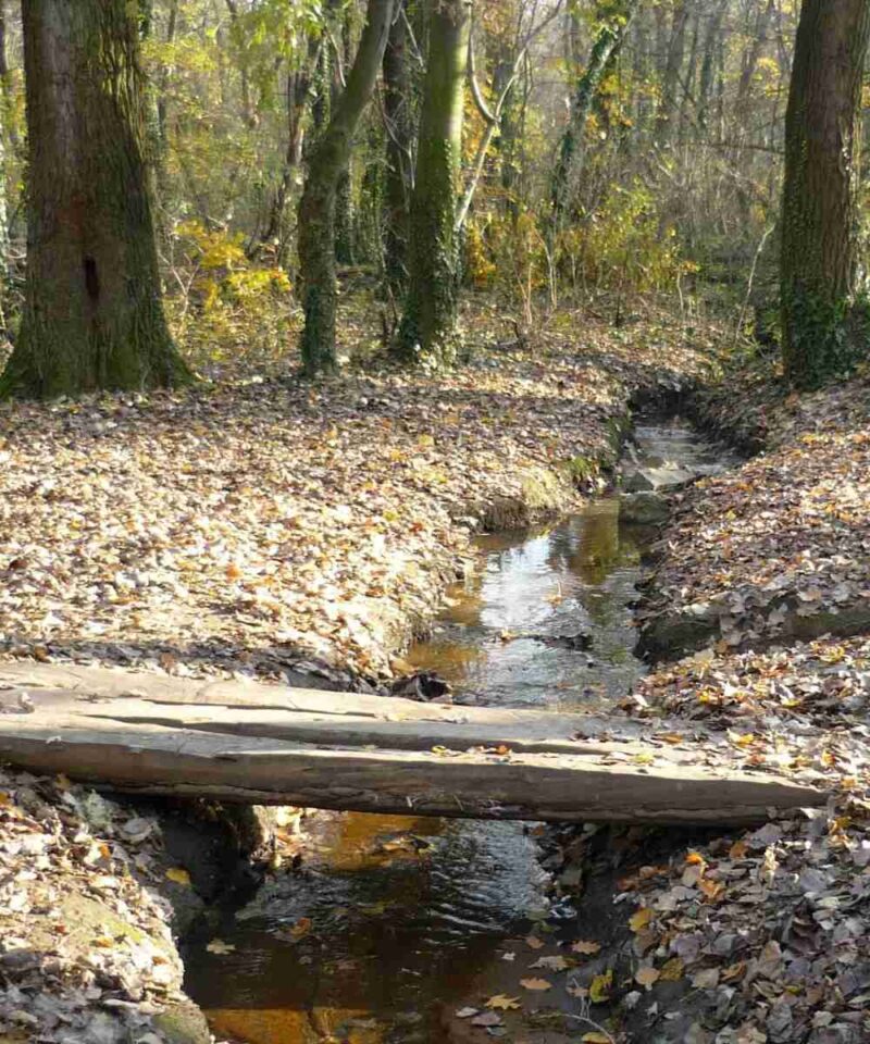 Potok sa drvenim deblo mostićem