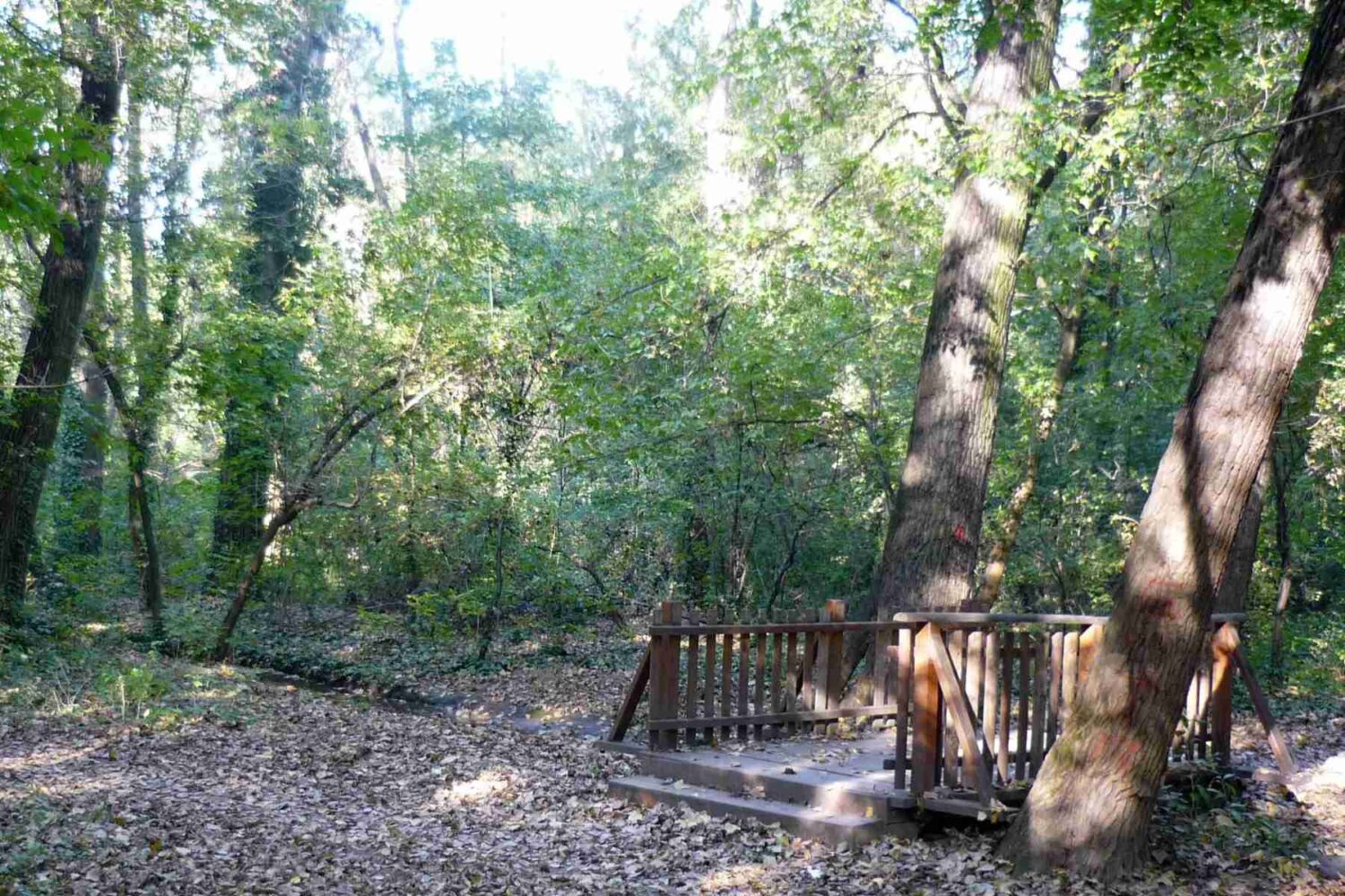 Veći drveni mostić sa ogradom preko potoka