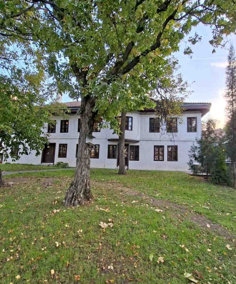 Pogled na Muzej Vuka i Dositeja iz dvorišta sa čela zgrade