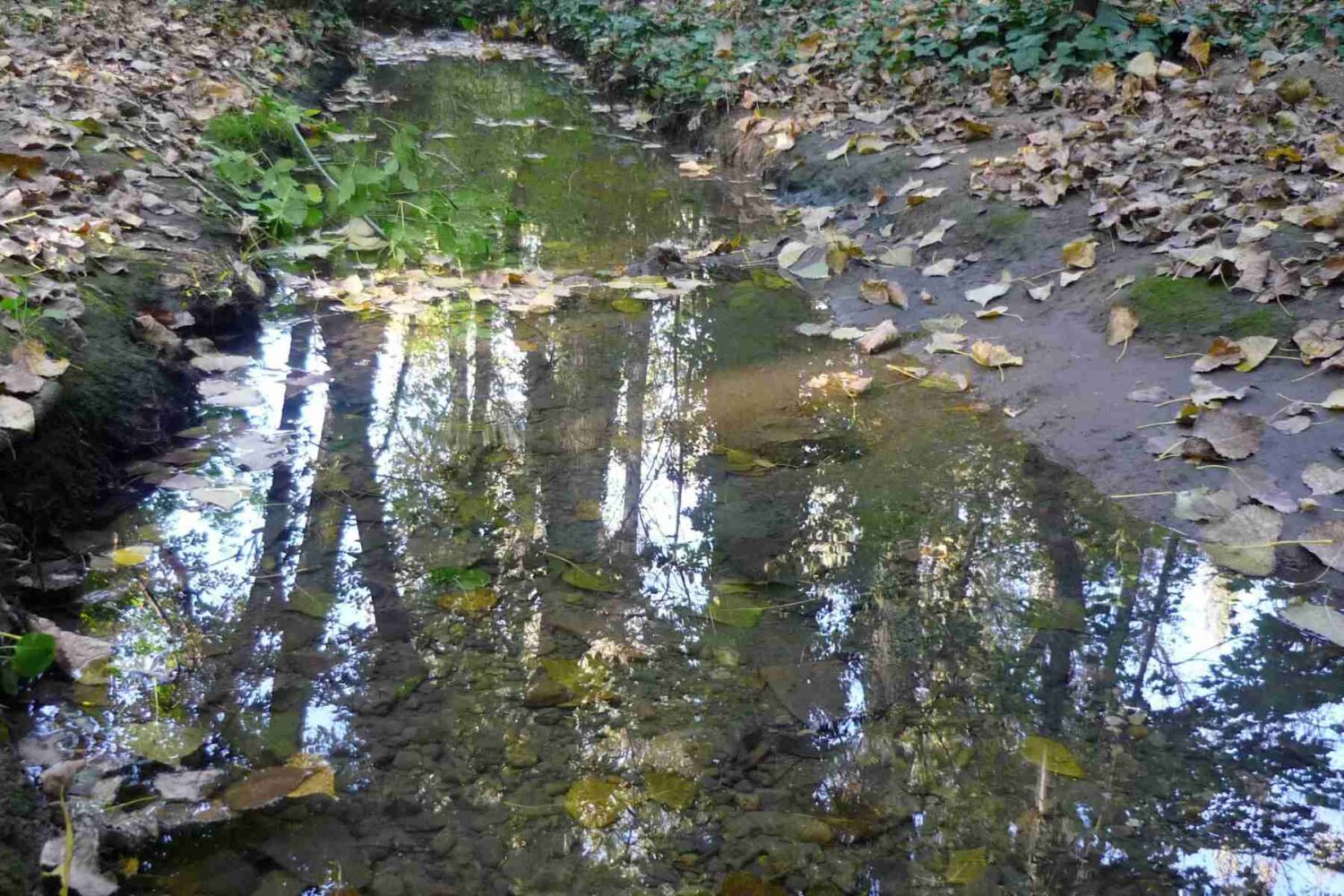 Izbliza Banjički potok sa kamenčićima na dnu