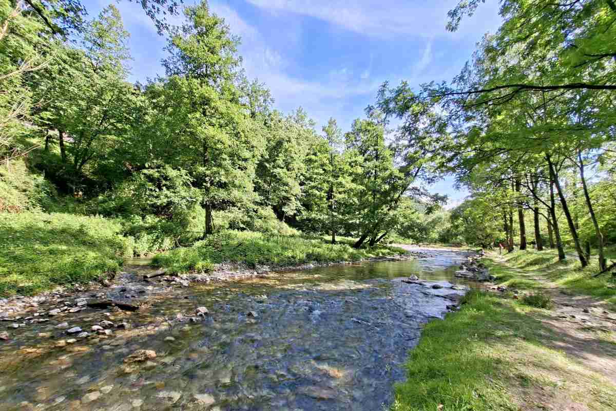 Potočić koji se uliva u reku Gradac Mali šumski potočić koji se uliva u reku Gradac