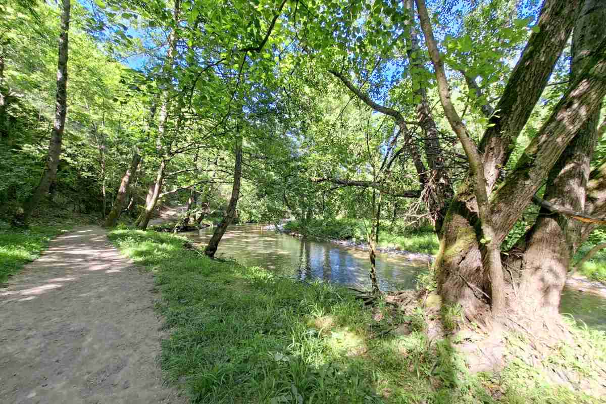 Pešačka staza uz reku Gradac Pešačka staza koja prati tok reke Gradac kod Valjeva