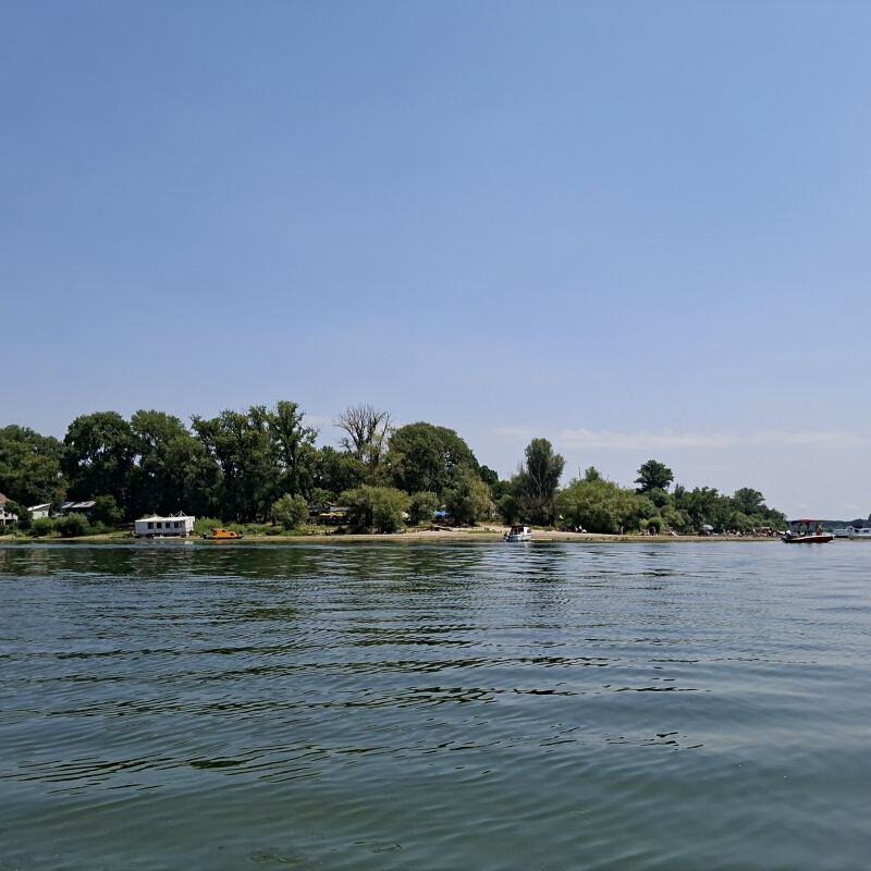 Plaža Bela Stena na Dunavu, omiljeno izletište u blizini Beograda