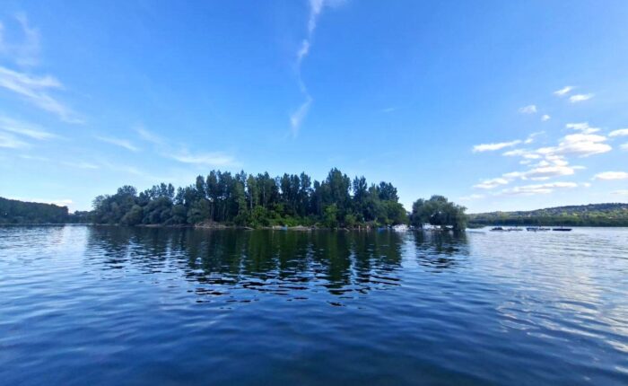 Goli Đoka – divlja plaža i mesto za kupanje na Dunavu kod Grocke