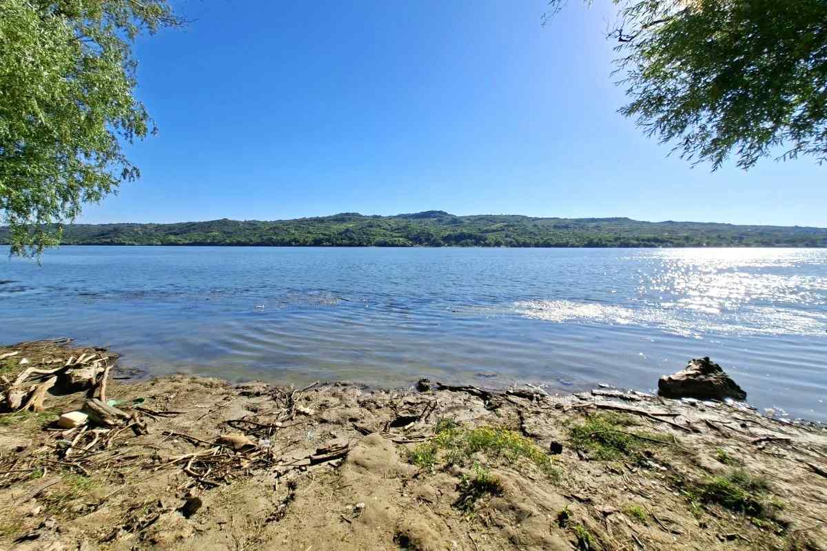 Ivanovačka ada i Dunav Pogled sa obale Ivanovačke ade na Dunav