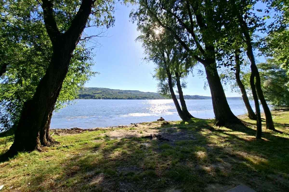 Pogled na Dunav sa Ivanovačke ade Pogled na Dunav kroz drveće na Ivanovačkoj adi