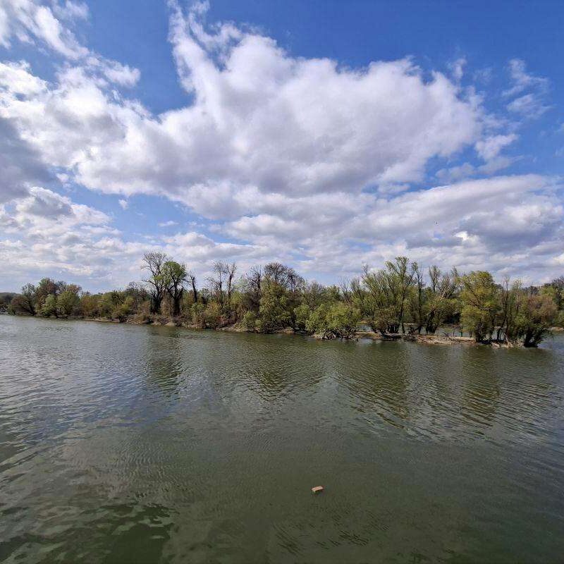 Pogled sa Dunava na Malo ratno ostrvo u Beogradu