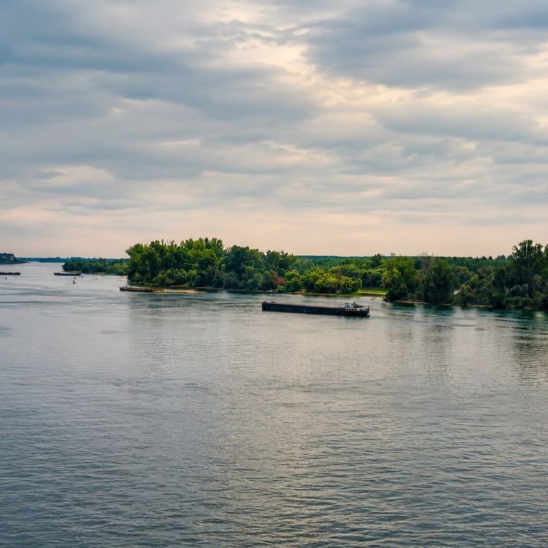 Ostrvo Mamuta na Dunavu sa zelenom obalom i teretnim brodom