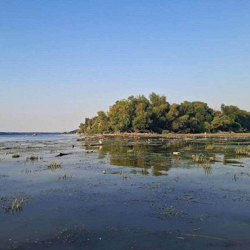 Paradajz ostrvo na Dunavu u Beogradu
