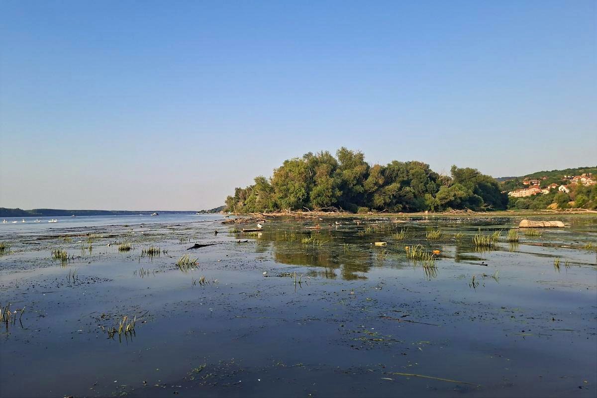 Paradajz ostrvo na Dunavu u Beogradu