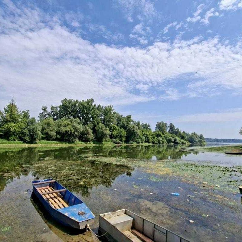 Skeljanska ada i reka Sava sa čamcima na obali kod Skele